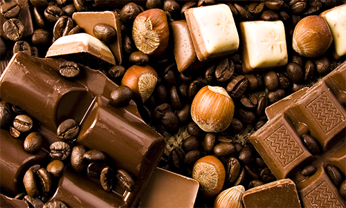 Feasibility study for chocolate filling and packaging machines and a chocolate factory in Egypt